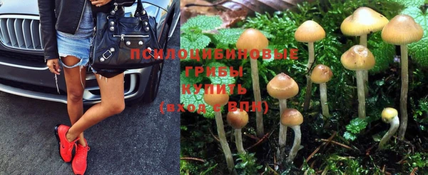 стаф Куйбышев