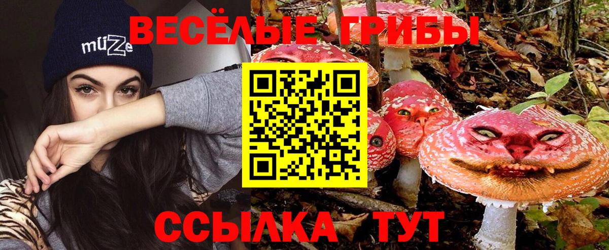 Псилоцибиновые грибы MAGIC MUSHROOMS  купить закладку  Раменское  Вход с VPN 